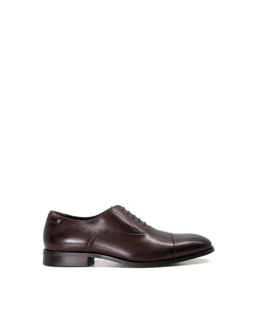 Dune Brown 'secrecy' Leather Oxfords for men