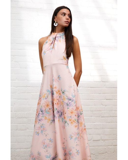 Oasis Pink Blush Floral Stretch Crepe Twist Halterneck Midi Dress