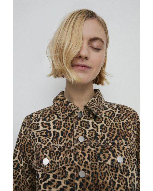 Warehouse Brown Petite Denim Leopard Cropped Denim Jacket