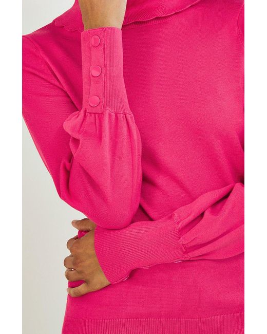 Monsoon Pink Scallop Polo Neck Jumper