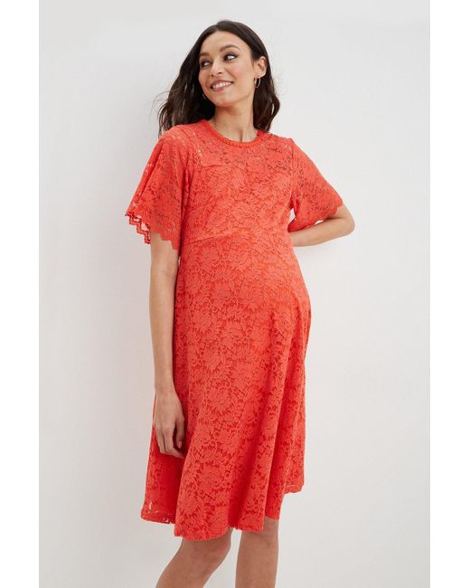 Dorothy Perkins Red Maternity Angel Sleeve Lace Dress