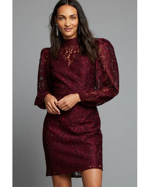 Dorothy Perkins Red Berry Lace High Neck Mini Dress