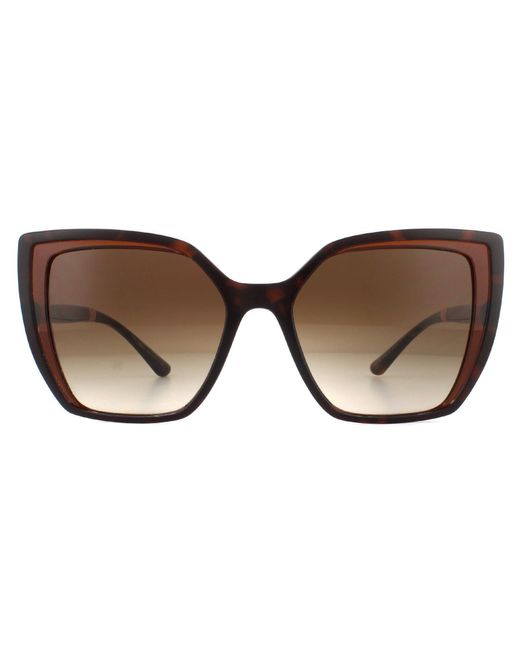 Dolce & Gabbana Square Havana On Transparent Brown Brown Gradient Sunglasses