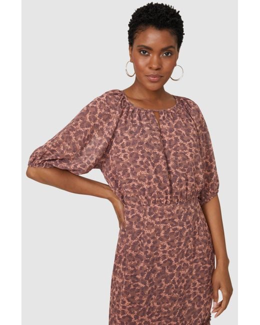 Principles animal hotsell print dress