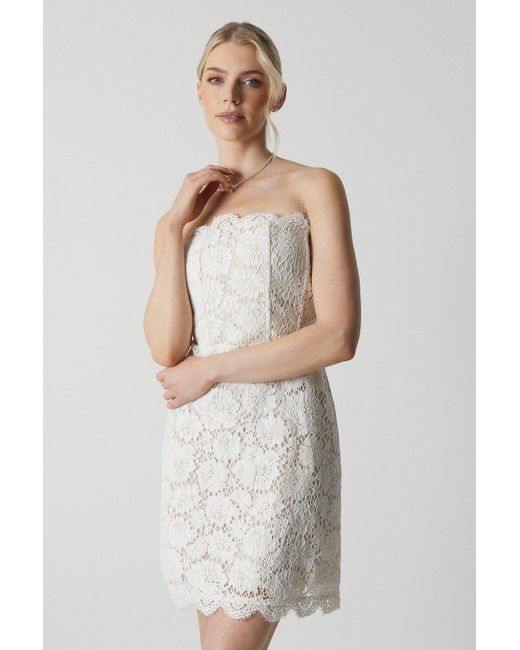 Coast White Bandeau Contrast Lace Mini Dress With Boning