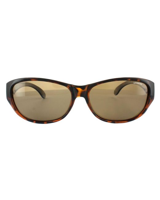 Polaroid Suncovers Rectangle Dark Havana Brown Polarized Sunglasses