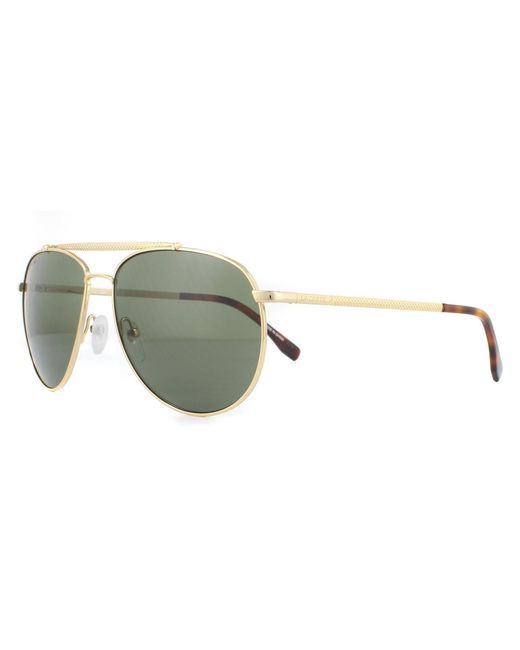 Lacoste Green Aviator Gold Grey Sunglasses for men