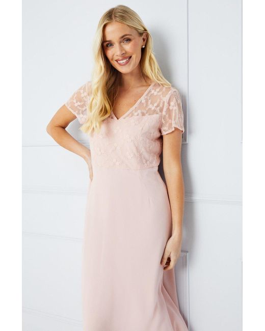 Wallis Pink Occasion Petite Lace Short Sleeve Midi Dress