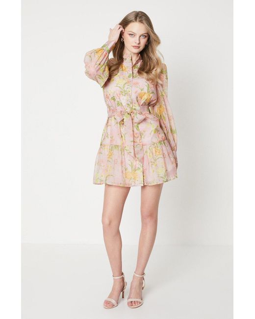 Oasis Brown Soft Floral Organza Mini Shirt Dress