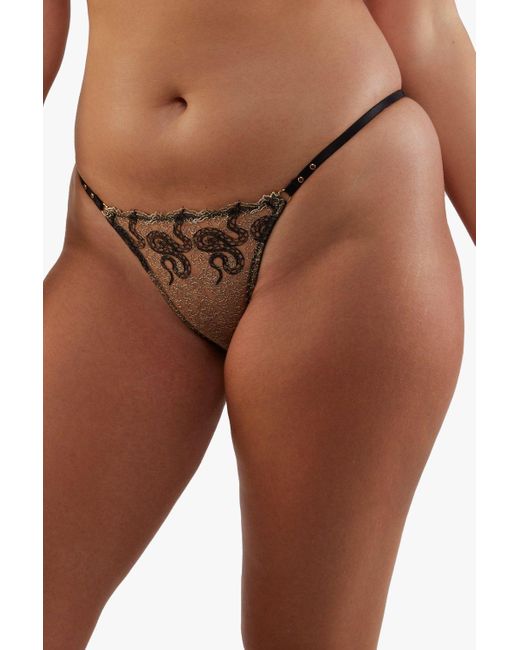 Playful Promises Brown Amal Gold And Black Embroidery Tanga Brief