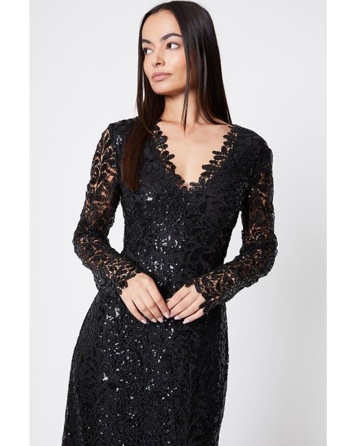 Coast Black Sequin Lace Sheer Sleeve Pencil Dress