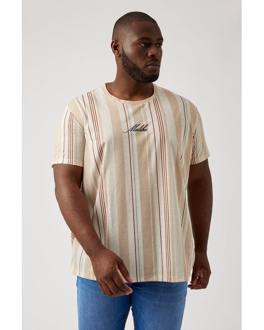 Burton Natural Plus And Tall Stone Malibu Stripe T Shirt for men