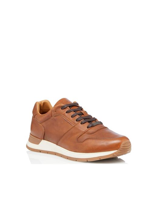 Dune Brown 'takeoff' Leather Trainers for men