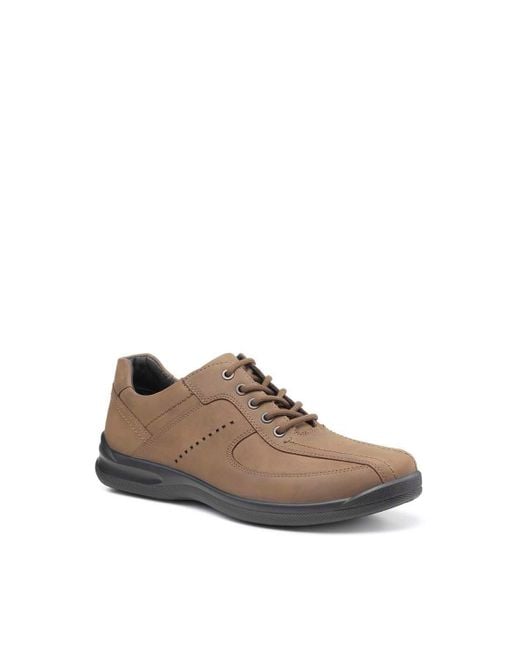 Hotter Brown 'lance' Lace-up Shoe for men