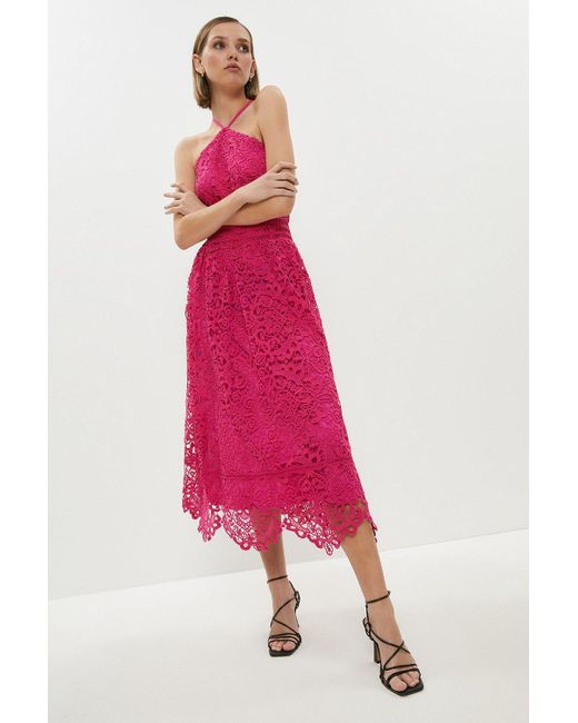 Coast Pink Petite Lace Halter Neck Midi Dress