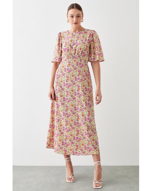 Dorothy Perkins Pink Tall Multi Ditsy Flutter Sleeve Shirred Waist Midi Dress