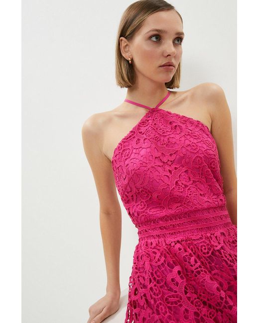 Coast Pink Petite Lace Halter Neck Midi Dress