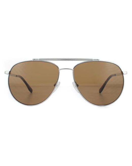 Lacoste Aviator Gunmetal Brown Sunglasses for men