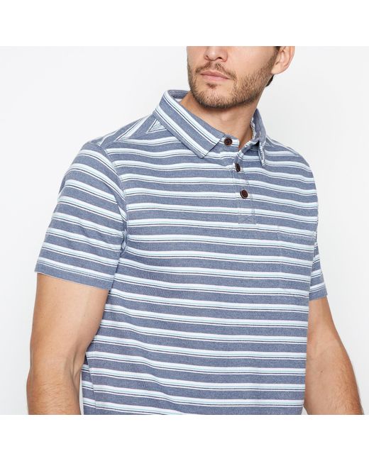 Mantaray Blue Stripe Polo Shirt for men