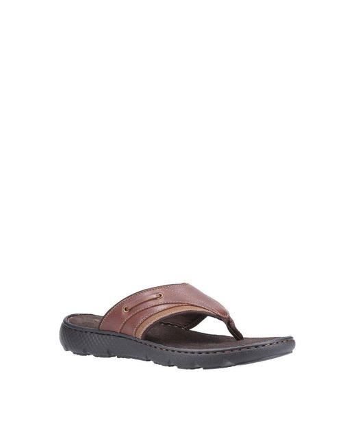 Hush Puppies Brown 'connor' Sandals for men
