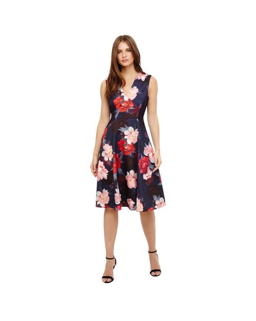 Phase Eight Blue Elba Floral Fit And Flare Dress