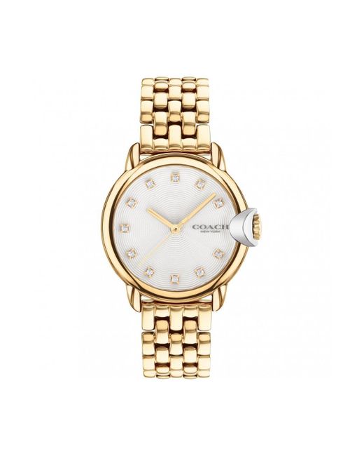 COACH Metallic Arden Gold Plated Stainless Steel Fashion Analogue Watch - 14503819