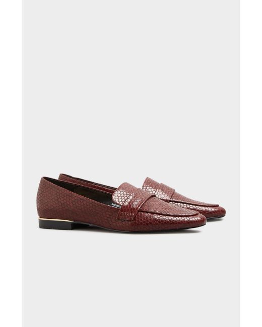 Long Tall Sally Brown Metal Trim Loafers