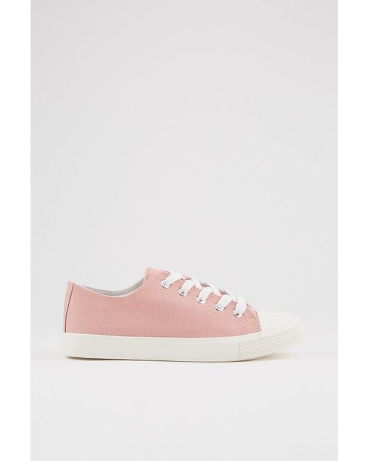 Dorothy Perkins Blue Pink Icon Canvas Trainers