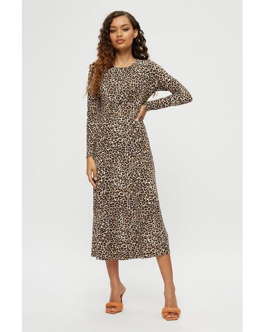 Dorothy Perkins Brown Petite Leopard Print Empire Seam Midi Dress