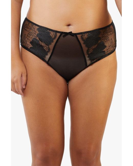 Playful Promises Black Annika Mesh And Embroidered High Waisted Brief