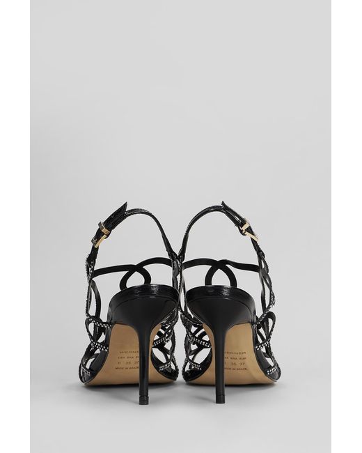 Sandali in pelle e camoscio Nero di Werner in Black