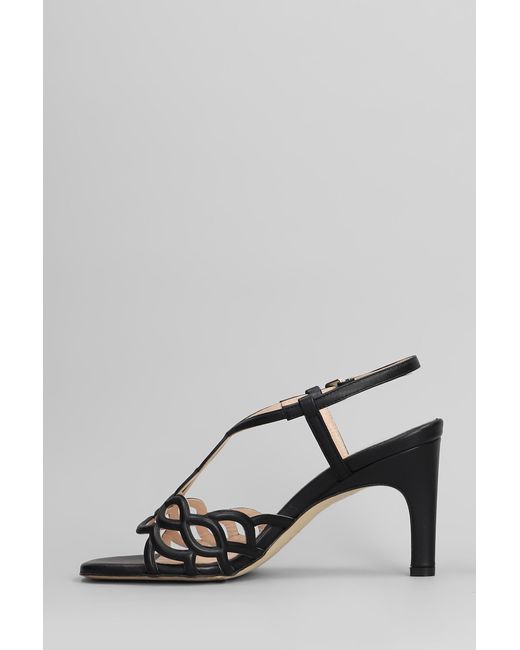 Sandali in Pelle Nera di Evaluna in Black