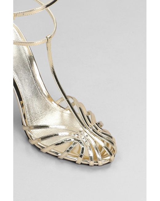 ALEVI Multicolor Stella 110 Sandals In Gold Leather