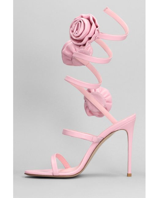 Le Silla Rose Sandals In Rose-pink Leather