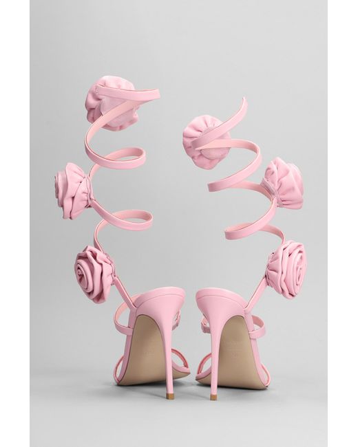 Le Silla Rose Sandals In Rose-pink Leather