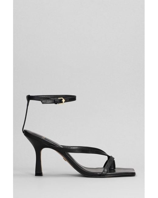 Sandali in Pelle Nera di Carrano in Black