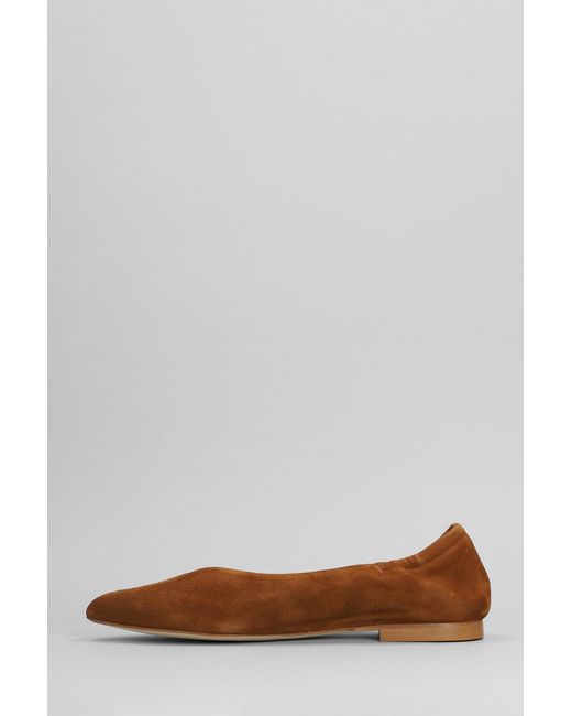 Anna F. Brown Ballet Flats In Leather Color Suede