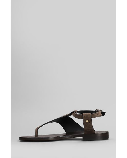 Sandali flats in Camoscio Marrone di DONNARì in Gray