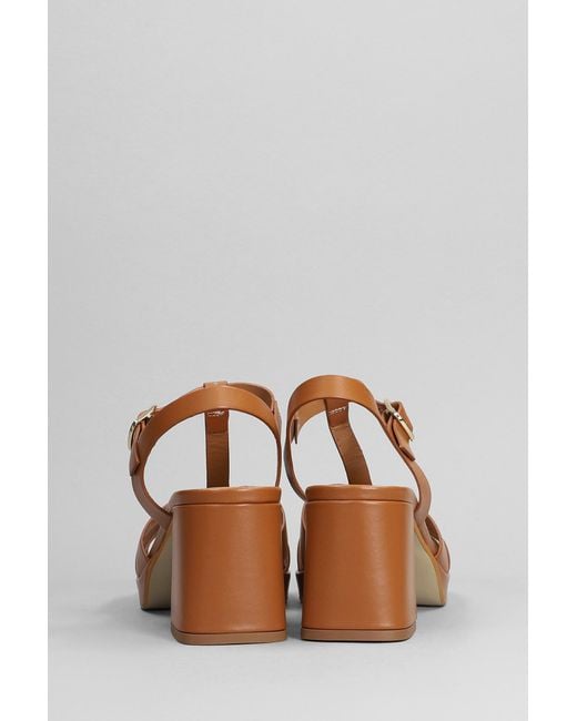Julie Dee Brown Sandals In Leather Color Leather