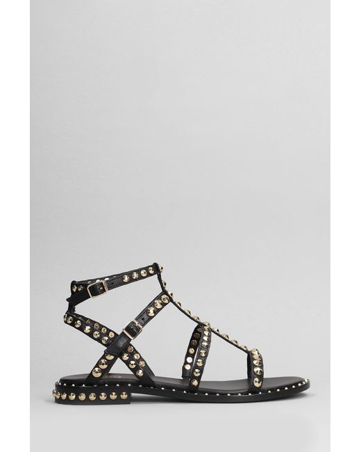 Sandali flats Precious in Pelle Nera di Ash in Black