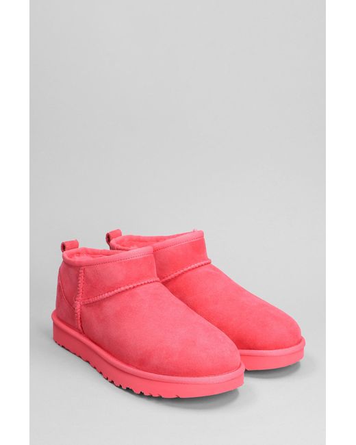 Ugg Pink Classic Ultra Mini Low Heels Ankle Boots In Fuxia Suede