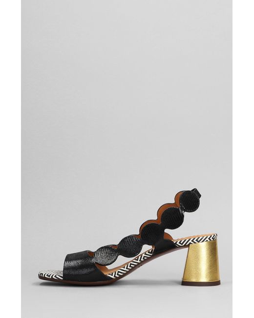 Chie Mihara Roka Sandals In Black Leather