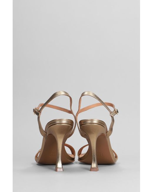 Bibi Lou Multicolor Lotus 85 Sandals In Platinum Leather