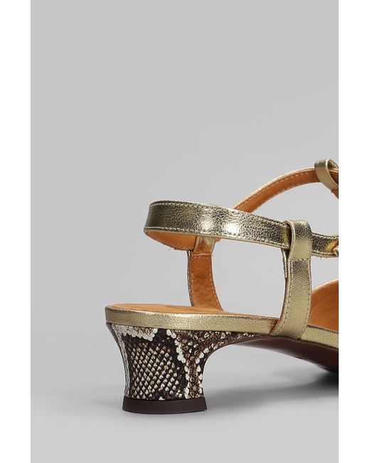 Decollete in Pelle Beige di Chie Mihara in White