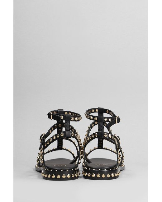 Sandali flats Precious in Pelle Nera di Ash in Black