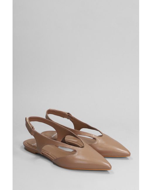 Carrano Multicolor Ballet Flats In Brown Leather