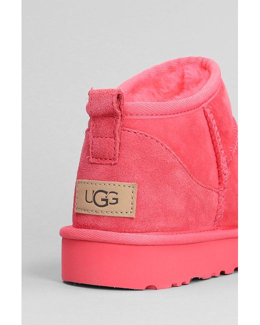 Ugg Pink Classic Ultra Mini Low Heels Ankle Boots In Fuxia Suede