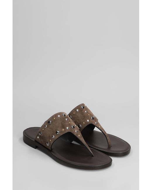 Sandali flats in Camoscio Marrone di DONNARì in Gray