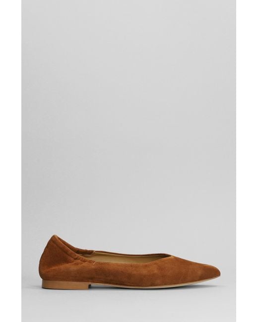 Anna F. Brown Ballet Flats In Leather Color Suede