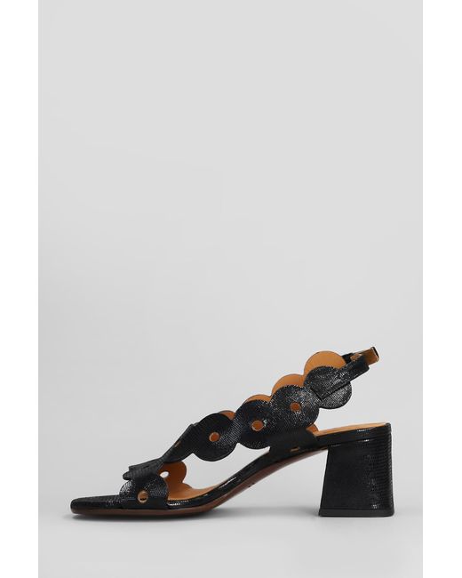 Sandali in Pelle Nera di Chie Mihara in Black